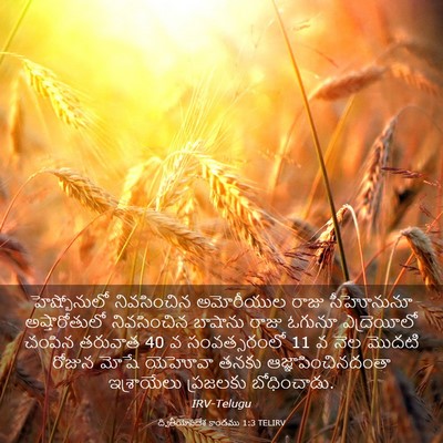 Picture 03 - ద్వితీయోపదేశ కాండము 1:3 TELIRV - హెష్బోనులో - Bible Verse Picture