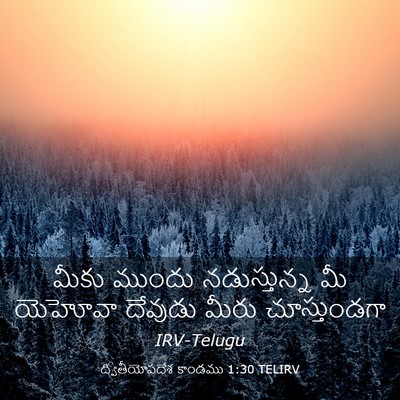 Picture 03 - ద్వితీయోపదేశ కాండము 1:30 TELIRV - మీకు ముందు - Bible Verse Picture