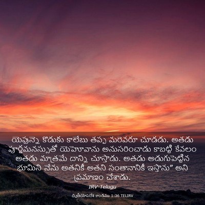 Picture 03 - ద్వితీయోపదేశ కాండము 1:36 TELIRV - యెఫున్నె కొడుకు - Bible Verse Picture