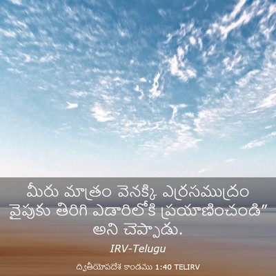 Picture 03 - ద్వితీయోపదేశ కాండము 1:40 TELIRV - మీరు మాత్రం - Bible Verse Picture