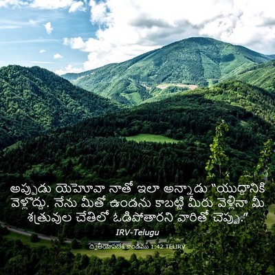 Picture 03 - ద్వితీయోపదేశ కాండము 1:42 TELIRV - అప్పుడు యెహోవా - Bible Verse Picture