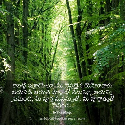Picture 03 - ద్వితీయోపదేశ కాండము 10:12 TELIRV - కాబట్టి - Bible Verse Picture