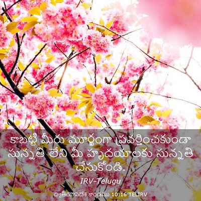 Picture 03 - ద్వితీయోపదేశ కాండము 10:16 TELIRV - కాబట్టి మీరు - Bible Verse Picture