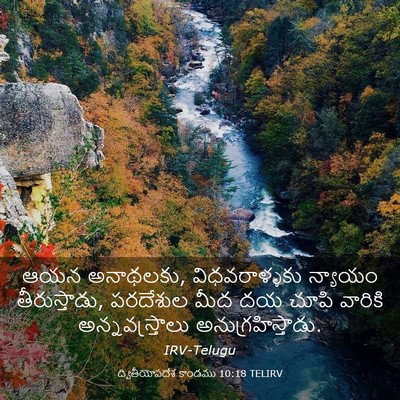 Picture 03 - ద్వితీయోపదేశ కాండము 10:18 TELIRV - ఆయన అనాథలకు, - Bible Verse Picture