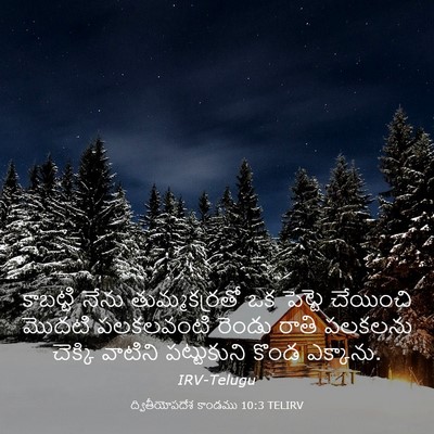 Picture 03 - ద్వితీయోపదేశ కాండము 10:3 TELIRV - కాబట్టి నేను - Bible Verse Picture
