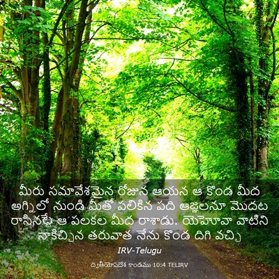 Picture 03 - ద్వితీయోపదేశ కాండము 10:4 TELIRV - మీరు సమావేశమైన - Bible Verse Picture
