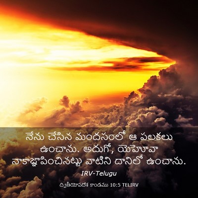 Picture 03 - ద్వితీయోపదేశ కాండము 10:5 TELIRV - నేను చేసిన - Bible Verse Picture