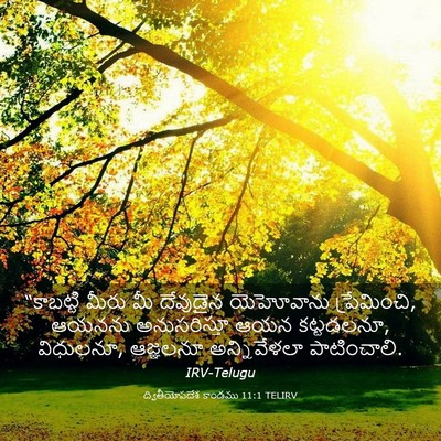 Picture 03 - ద్వితీయోపదేశ కాండము 11:1 TELIRV - “కాబట్టి మీరు మీ - Bible Verse Picture