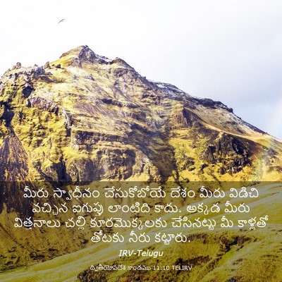 Picture 03 - ద్వితీయోపదేశ కాండము 11:10 TELIRV - మీరు స్వాధీనం - Bible Verse Picture