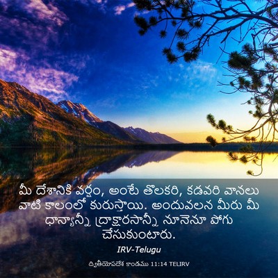 Picture 03 - ద్వితీయోపదేశ కాండము 11:14 TELIRV - మీ దేశానికి వర్షం, - Bible Verse Picture