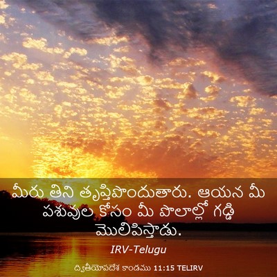 Picture 03 - ద్వితీయోపదేశ కాండము 11:15 TELIRV - మీరు తిని - Bible Verse Picture