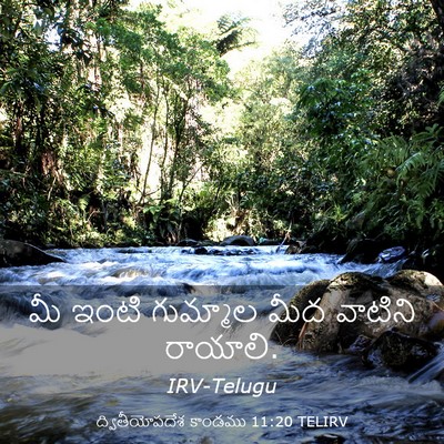 Picture 03 - ద్వితీయోపదేశ కాండము 11:20 TELIRV - మీ ఇంటి గుమ్మాల - Bible Verse Picture