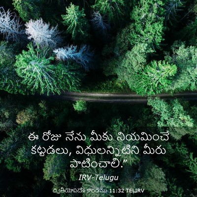 Picture 03 - ద్వితీయోపదేశ కాండము 11:32 TELIRV - ఈ రోజు నేను మీకు - Bible Verse Picture