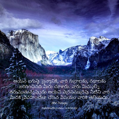 Picture 03 - ద్వితీయోపదేశ కాండము 11:4 TELIRV - ఆయన ఐగుప్తు - Bible Verse Picture