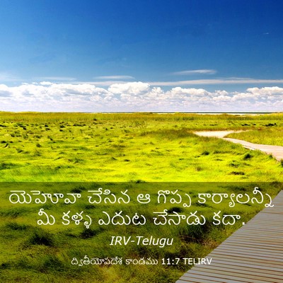 Picture 03 - ద్వితీయోపదేశ కాండము 11:7 TELIRV - యెహోవా చేసిన ఆ - Bible Verse Picture