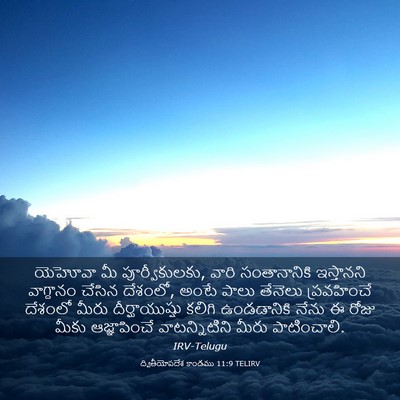 Picture 03 - ద్వితీయోపదేశ కాండము 11:9 TELIRV - యెహోవా మీ - Bible Verse Picture