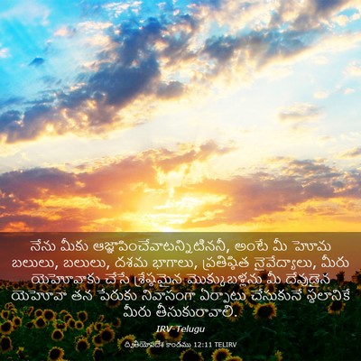 Picture 03 - ద్వితీయోపదేశ కాండము 12:11 TELIRV - నేను మీకు - Bible Verse Picture