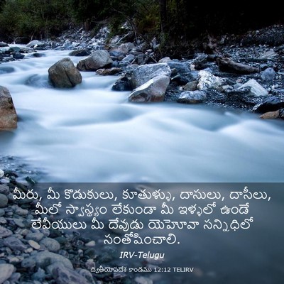 Picture 03 - ద్వితీయోపదేశ కాండము 12:12 TELIRV - మీరు, మీ కొడుకులు, - Bible Verse Picture