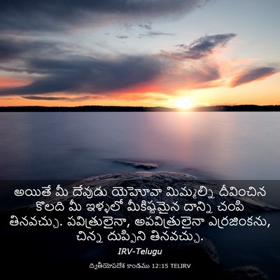 Picture 03 - ద్వితీయోపదేశ కాండము 12:15 TELIRV - అయితే మీ దేవుడు - Bible Verse Picture