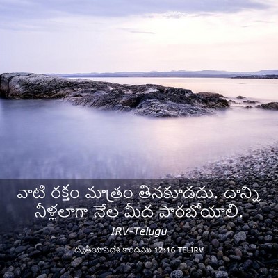 Picture 03 - ద్వితీయోపదేశ కాండము 12:16 TELIRV - వాటి రక్తం మాత్రం - Bible Verse Picture
