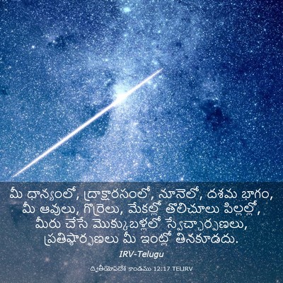 Picture 03 - ద్వితీయోపదేశ కాండము 12:17 TELIRV - మీ ధాన్యంలో, - Bible Verse Picture