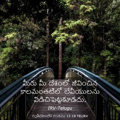 Picture 03 - ద్వితీయోపదేశ కాండము 12:19 TELIRV - మీరు మీ దేశంలో - Bible Verse Picture