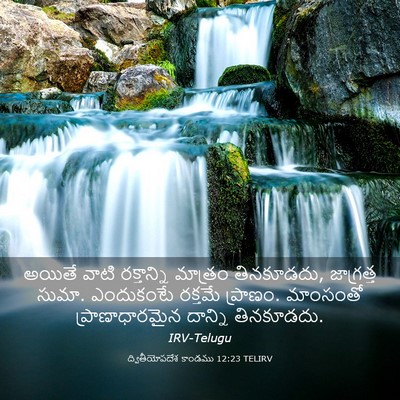 Picture 03 - ద్వితీయోపదేశ కాండము 12:23 TELIRV - అయితే వాటి - Bible Verse Picture
