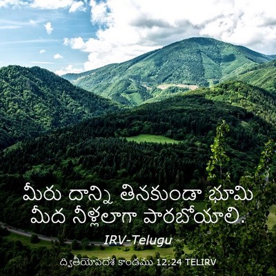 Picture 03 - ద్వితీయోపదేశ కాండము 12:24 TELIRV - మీరు దాన్ని - Bible Verse Picture