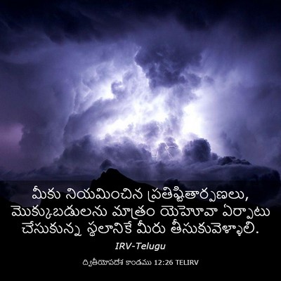 Picture 03 - ద్వితీయోపదేశ కాండము 12:26 TELIRV - మీకు నియమించిన - Bible Verse Picture