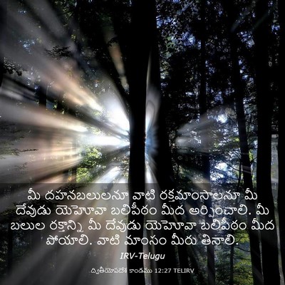Picture 03 - ద్వితీయోపదేశ కాండము 12:27 TELIRV - మీ దహనబలులనూ వాటి - Bible Verse Picture