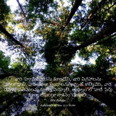 Picture 03 - ద్వితీయోపదేశ కాండము 12:3 TELIRV - వారి హోమపీఠాలను - Bible Verse Picture