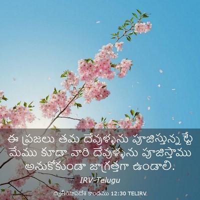 Picture 03 - ద్వితీయోపదేశ కాండము 12:30 TELIRV - ఈ ప్రజలు తమ - Bible Verse Picture
