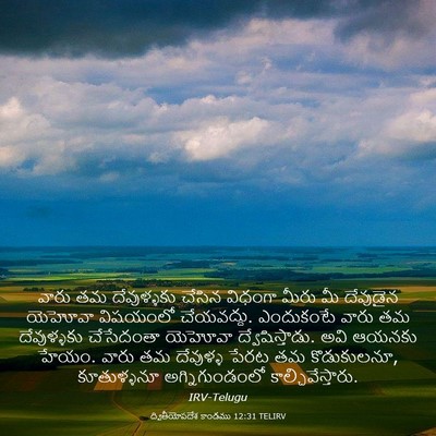 Picture 03 - ద్వితీయోపదేశ కాండము 12:31 TELIRV - వారు తమ దేవుళ్ళకు - Bible Verse Picture
