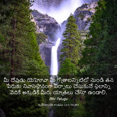 Picture 03 - ద్వితీయోపదేశ కాండము 12:5 TELIRV - మీ దేవుడు యెహోవా - Bible Verse Picture