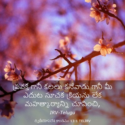 Picture 03 - ద్వితీయోపదేశ కాండము 13:1 TELIRV - ప్రవక్త గానీ కలలు - Bible Verse Picture
