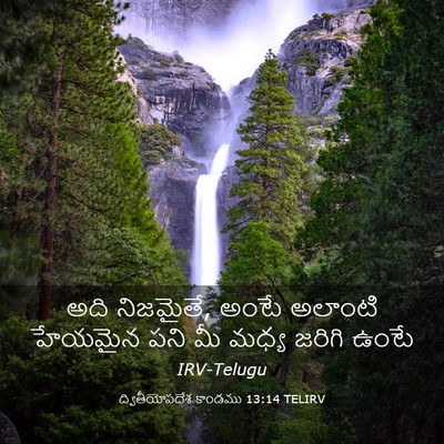 Picture 03 - ద్వితీయోపదేశ కాండము 13:14 TELIRV - అది నిజమైతే, అంటే - Bible Verse Picture