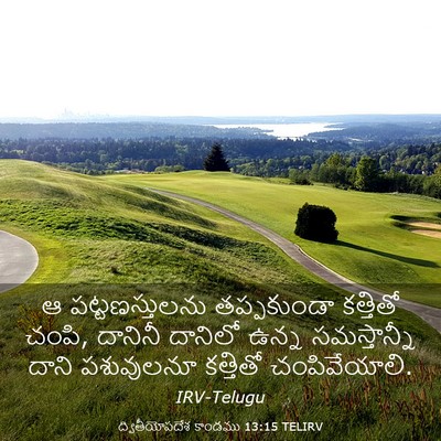 Picture 03 - ద్వితీయోపదేశ కాండము 13:15 TELIRV - ఆ పట్టణస్తులను - Bible Verse Picture