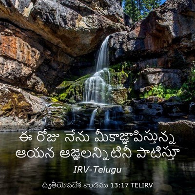 Picture 03 - ద్వితీయోపదేశ కాండము 13:17 TELIRV - ఈ రోజు నేను - Bible Verse Picture