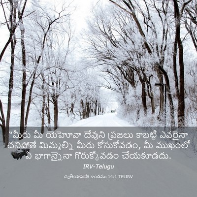 Picture 03 - ద్వితీయోపదేశ కాండము 14:1 TELIRV - “మీరు మీ యెహోవా - Bible Verse Picture