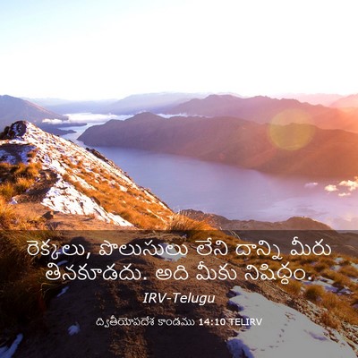 Picture 03 - ద్వితీయోపదేశ కాండము 14:10 TELIRV - రెక్కలు, పొలుసులు - Bible Verse Picture