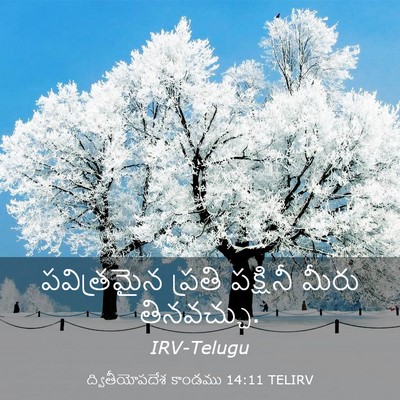 Picture 03 - ద్వితీయోపదేశ కాండము 14:11 TELIRV - పవిత్రమైన ప్రతి - Bible Verse Picture