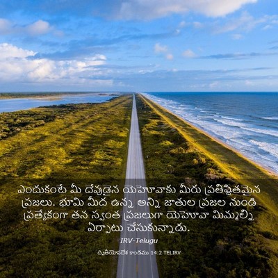 Picture 03 - ద్వితీయోపదేశ కాండము 14:2 TELIRV - ఎందుకంటే మీ - Bible Verse Picture