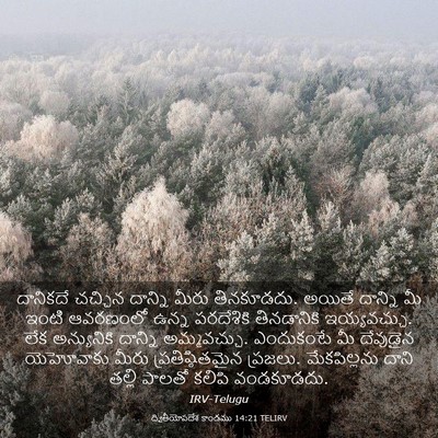 Picture 03 - ద్వితీయోపదేశ కాండము 14:21 TELIRV - దానికదే చచ్చిన - Bible Verse Picture