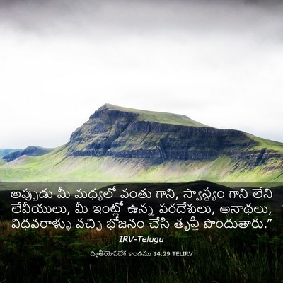 Picture 03 - ద్వితీయోపదేశ కాండము 14:29 TELIRV - అప్పుడు మీ మధ్యలో - Bible Verse Picture