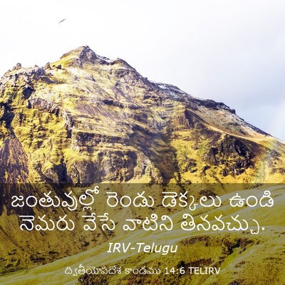 Picture 03 - ద్వితీయోపదేశ కాండము 14:6 TELIRV - జంతువుల్లో రెండు - Bible Verse Picture
