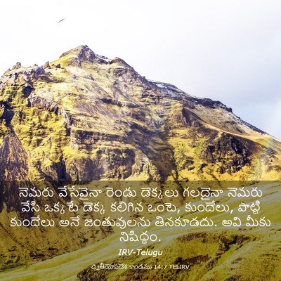 Picture 03 - ద్వితీయోపదేశ కాండము 14:7 TELIRV - నెమరు వేసేవైనా - Bible Verse Picture
