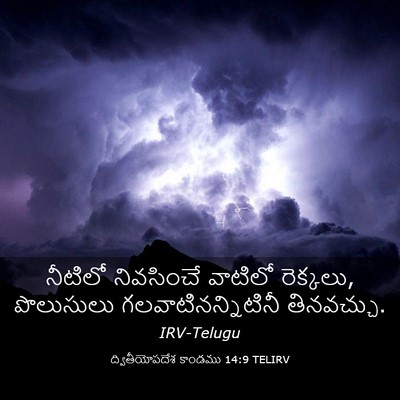 Picture 03 - ద్వితీయోపదేశ కాండము 14:9 TELIRV - నీటిలో నివసించే - Bible Verse Picture