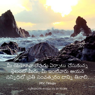 Picture 03 - ద్వితీయోపదేశ కాండము 15:20 TELIRV - మీ యెహోవా దేవుడు - Bible Verse Picture
