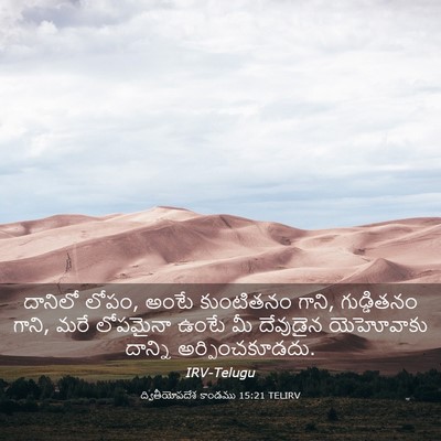Picture 03 - ద్వితీయోపదేశ కాండము 15:21 TELIRV - దానిలో లోపం, అంటే - Bible Verse Picture