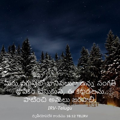Picture 03 - ద్వితీయోపదేశ కాండము 16:12 TELIRV - మీరు ఐగుప్తులో - Bible Verse Picture